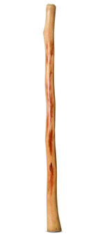 Natural Finish Didgeridoo (TW1299)